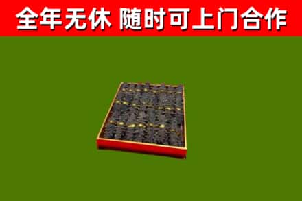 猇亭回收海参